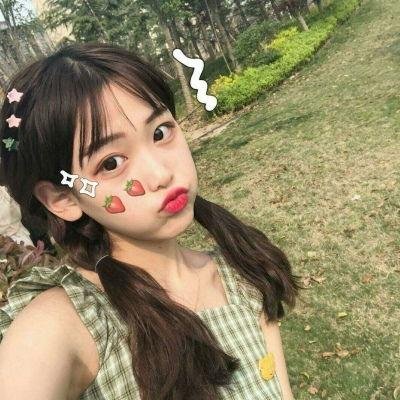 森林进化论第三季